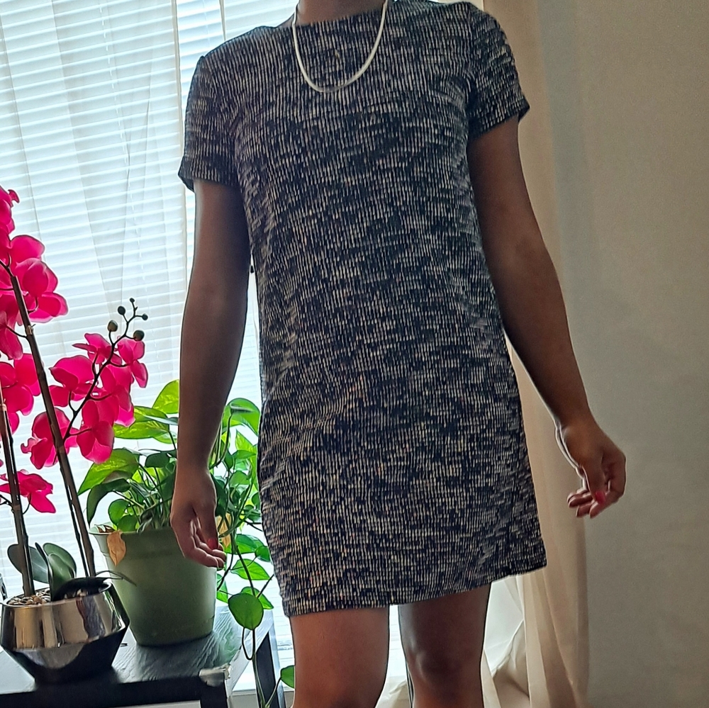 Brand New with tags Loft Dress